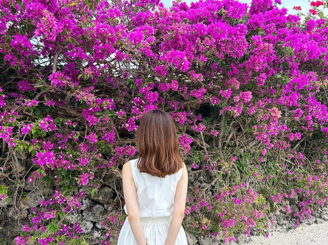 上坂由莉のインスタグラム：「📍竹富島 ⁡ 石垣島から船でで15分程の竹富島🛥️ ⁡ ⁡ 竹富島ならではの赤瓦屋根の集落や 大好きなブーゲンビリアも沢山🩷⸝⸝ 自然たっぷりでとっても癒されました🏖️ ⁡ ⁡ #竹富島 #竹富島観光 #竹富島 #八重山 #八重山諸島 #石垣島 #石垣島旅行 #沖縄旅行 #女子旅 #離島巡り #ブーゲンビリア #ワンピース #ワンピースコーデ #リゾートコーデ #白ワンピ #夏コーデ #タビジョ」