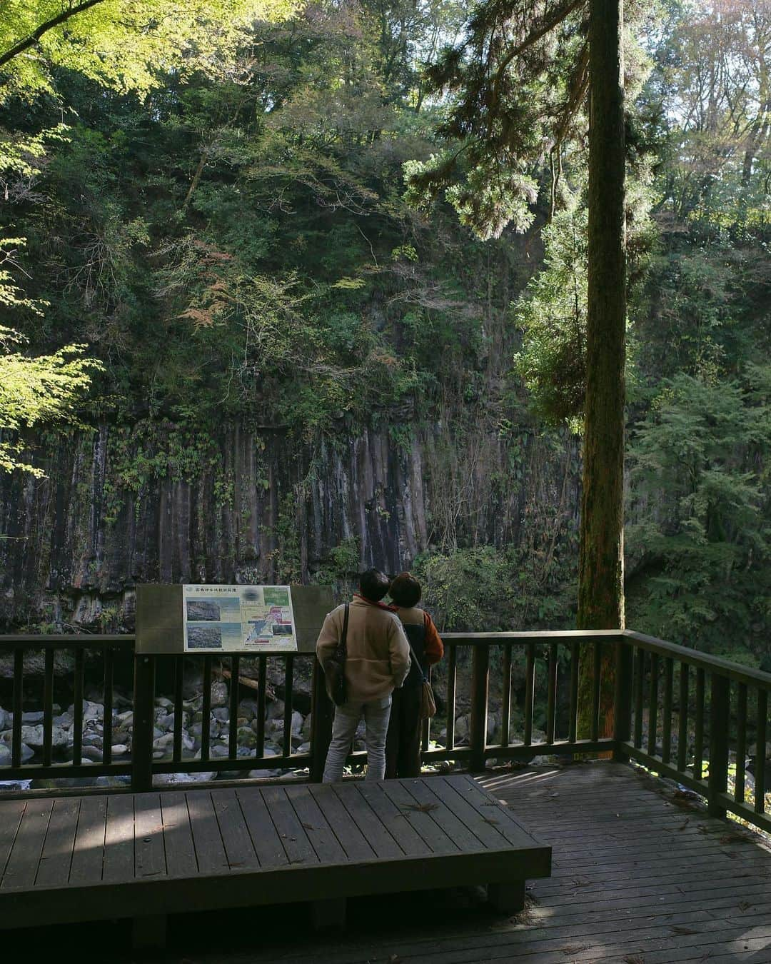 Ramie 山下未紗さんのインスタグラム写真 - (Ramie 山下未紗Instagram)「_ 霧島の大自然🕊️ マイナスイオンたっぷり🍃 水と空気が綺麗な空間🥺 樹齢も本当にすごい、、、  両親と3人で久しぶりにでかけた日✌︎  #鹿児島#鹿児島帰省#霧島#霧島神宮 #パワースポット」11月13日 20時25分 - misa_yamashita