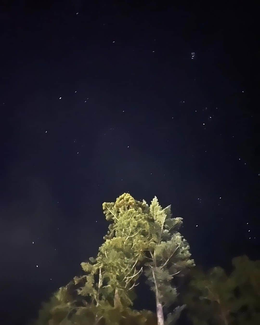 &mさんのインスタグラム写真 - (&mInstagram)「初めてのグランピング🌝🤍目の前に大きな富士山🗻 夜空にはこんなにも沢山の星達が輝いていたなんて💫💫💫  #富士星空の村  #名前の通り #本当に感動的だった #グランピング  #子供達もおおはしゃぎ  #最高でした💫💫💫」11月13日 20時31分 - oc.ym