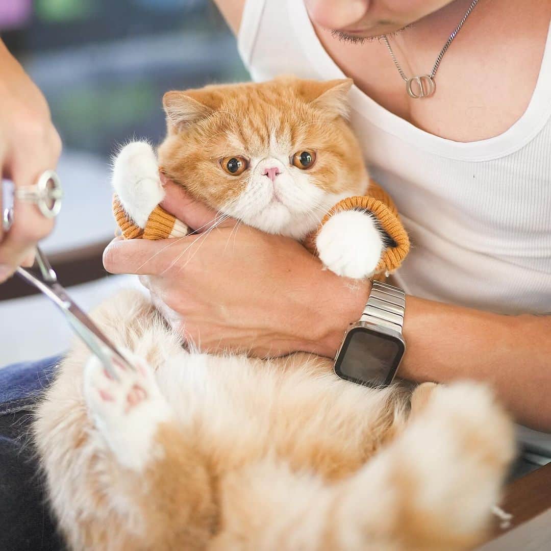 むじさまのインスタグラム
