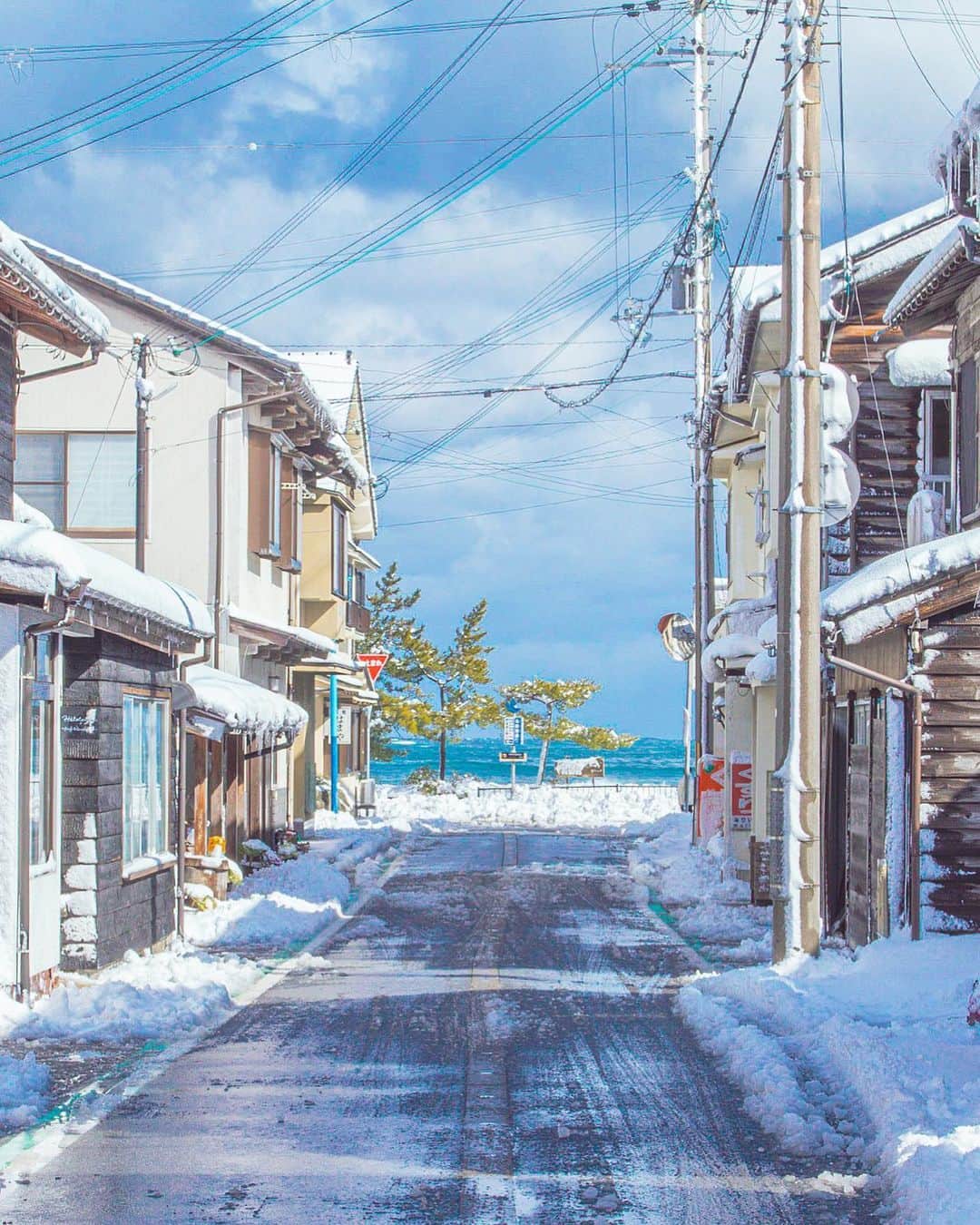 Shotaのインスタグラム
