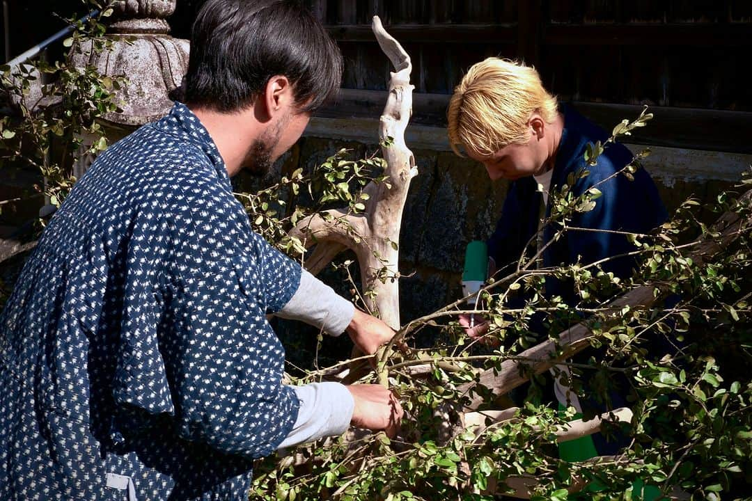 planticaさんのインスタグラム写真 - (planticaInstagram)「Nomadic Series by plantica | 🌳 📍Kumamoto, JAPAN  ‘Nomadic’ is an art project by Japanese flower artist unit "plantica" seizing for a transient beauty hidden in our daily lives. By not settling for the traditional laws of flower arrangement, they drift and wander searching for infinite opportunities to express what's within. Everything exists in a state of flux. Flower art lives with the constant change. Plantica portrays the philosophy of impermanence through spontaneous ikebana (Japanese flower art) using city as a vase.  游牧 "是日本花卉艺术家小组 "plantica "的一个艺术项目,它抓住了隐藏在我们日常生活中的短暂的美。通过不满足于传统的插花法则,他们漂移和徘徊,寻找无限的机会来表达内心的东西。一切都存在于变化的状态中。花卉艺术就生活在不断变化之中。Plantica通过以城市为花瓶的自发的ikebana(日本花卉艺术)描绘了无常的哲学。  nomadic - 縦横無尽。伝統的な華道の作法や花型法に安住せず、漂流し彷徨い、未知の表現を探し求め続けること。お決まりの場所や空間で美しく花を飾るのではなく、新しい世界に花を投げ込み、強かに存在させること。都市を花器に見立て、適材適所で生け花を再構築していく、プランティカの‘nomadic’は、まだ始まったばかり。  #plantica #プランティカ #ikebana #生け花 #熊本県 #満願寺 #installation #flowerart #art #インスタレーション」11月13日 20時55分 - plantica_jp