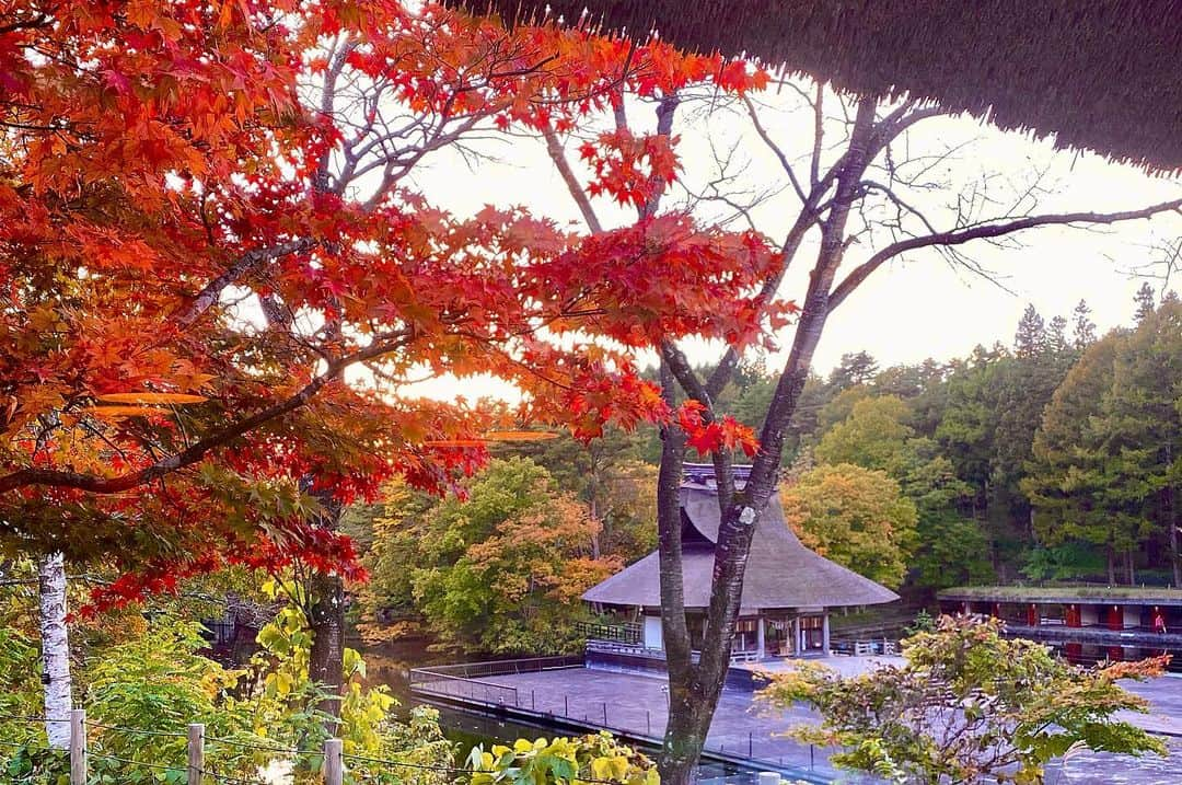 新山大さんのインスタグラム写真 - (新山大Instagram)「好きです青森屋🍎  評価 星5億⭐️⭐️⭐️⭐️⭐️  #5きげんテレビ  #テレビ岩手 #じゃらんの旅 #星野リゾート #青森屋 #至れり尽くせり #ありがとうございました #こんな仕事だったら毎日やってもいいです #青森県 #三沢市 #旅行 #ロケ」11月13日 21時45分 - dai_niiyama