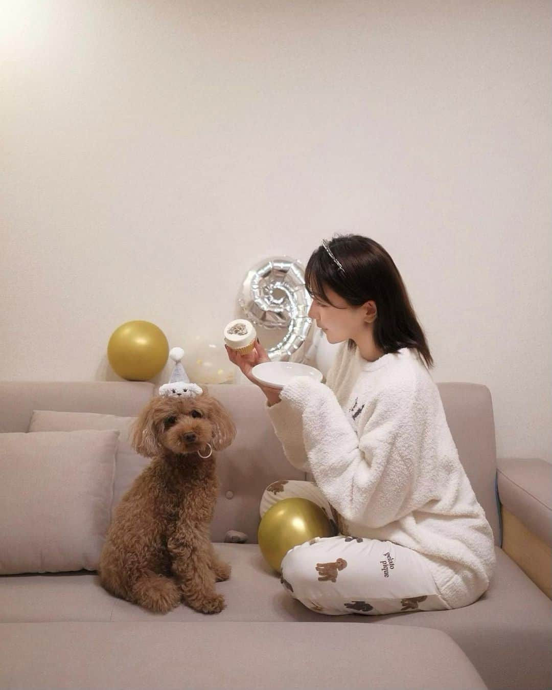 長野真琴のインスタグラム：「小麦のお誕生日に 似顔絵ケーキでお祝い🧁🐾♡ ⁡ 美味しそうに食べてた🐶💕 ⁡ ジェラピケは小麦そっくり！ 小麦に囲まれて幸せ😮‍💨♡ ⁡ ⁡ #愛犬 #愛犬の誕生日 #犬用ケーキ #犬ケーキ #わんこケーキ #似顔絵ケーキ #ジェラピケ」