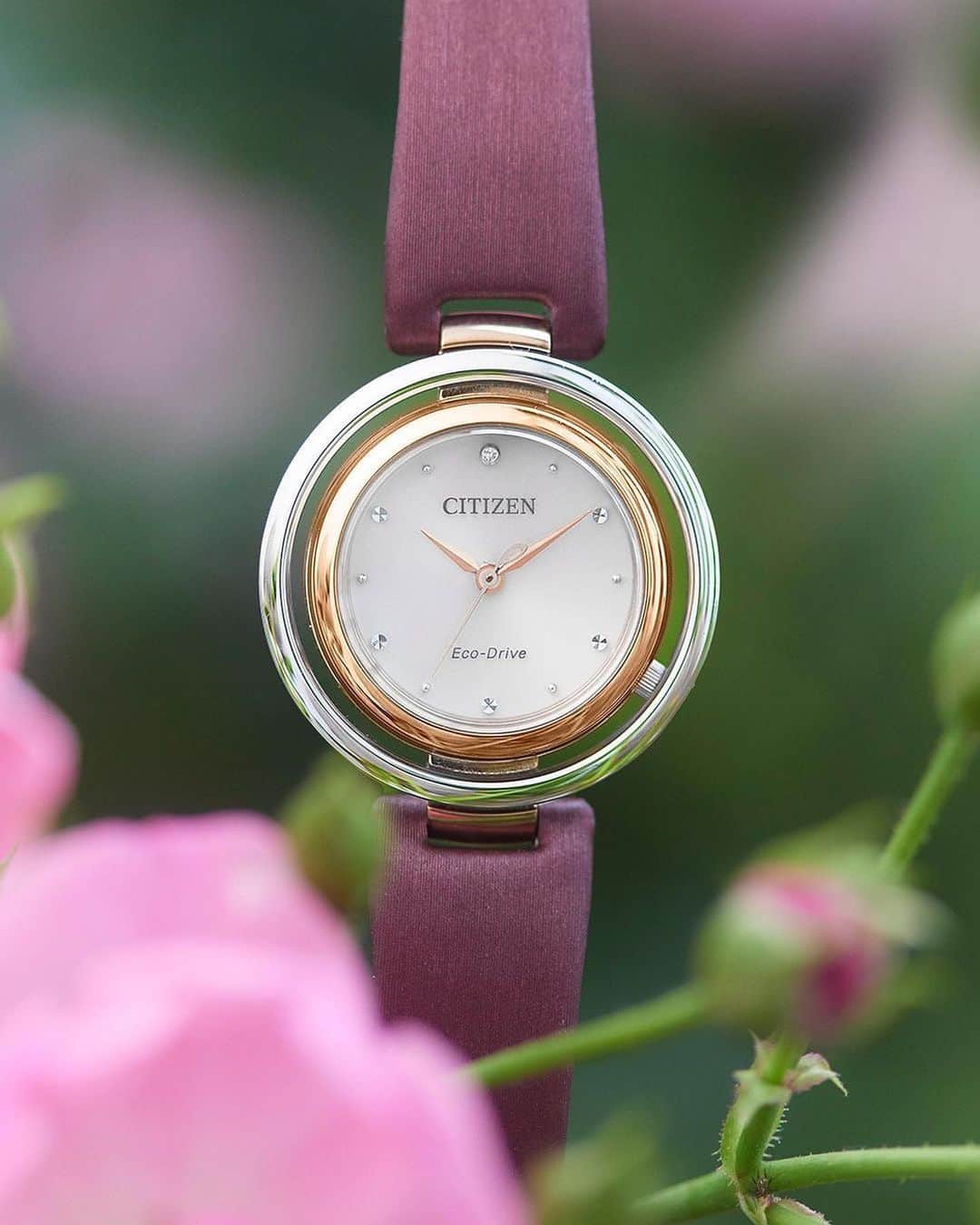 citizenlwatchのインスタグラム：「「秋も大人のおしゃれを楽しむ」  バーガンディのバンドが魅力的なモデル。 2色のリングが奏でる軽やかで優美なハーモニーが、大人のエレガンスをより一層引き立てます。  詳しくはプロフィール欄のURL、ハイライトへ。 → @citizenlwatch  This model is alluring with its burgundy strap, set against two rings that create a graceful and delicate harmony, accentuating a sophisticated sense of elegance.  ∵∵∵∵∵∵∵∵∵∵∵∵∵∵∵∵ 地球のように美しいサステナブルウオッチ A sustainable watch as beautiful as the Earth.  ・国内モデル EM0669-21X ¥35,200(税込) (税抜価格 ¥32,000)  ・Model EM0669-13X  Link in bio @citizenlwatch ∵∵∵∵∵∵∵∵∵∵∵∵∵∵∵∵  #sustainablewatch #サステナブルウォッチ #citizen #citizenl #citizenwatch #シチズン #シチズンエル」