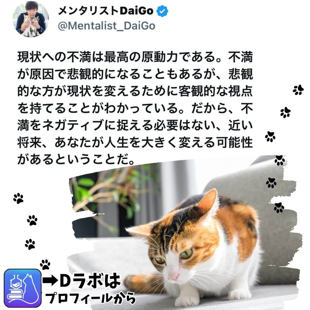 メンタリストDaiGoのインスタグラム：「🐈本日の名言📚 プロフィールからDラボもみてね  #心理学 #メンタリスト #dラボ  #dラボはプロフィールから」