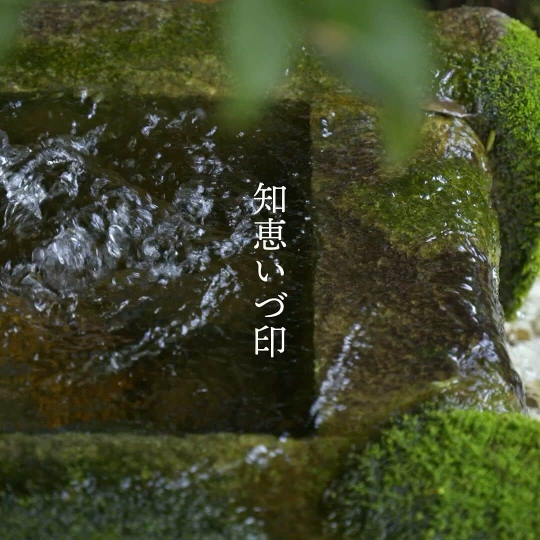 川越氷川神社のインスタグラム