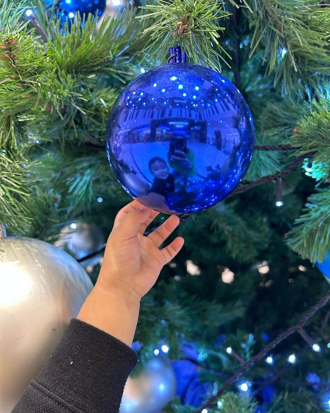 高橋茉奈さんのインスタグラム写真 - (高橋茉奈Instagram)「＊ 飾りに映るきき💙 今日はミスドデビューしました🍩💕 うまぁ！ってあっという間に1個食べた👌 #赤ちゃん#赤ちゃんのいる生活#赤ちゃんのいる暮らし#べビスタグラム#ママスタグラム#男の子ママ#成長記録#育児#育児記録#親バカ部#8月生まれ#7月生まれ#令和生まれ#令和3年ベビー#令和5年ベビー#2歳#0歳#2歳差#兄弟#きーくんの成長記録#はーちゃんの成長記録#我が子が一番#ミスド#オールドファッション」11月13日 21時55分 - 94.05.28