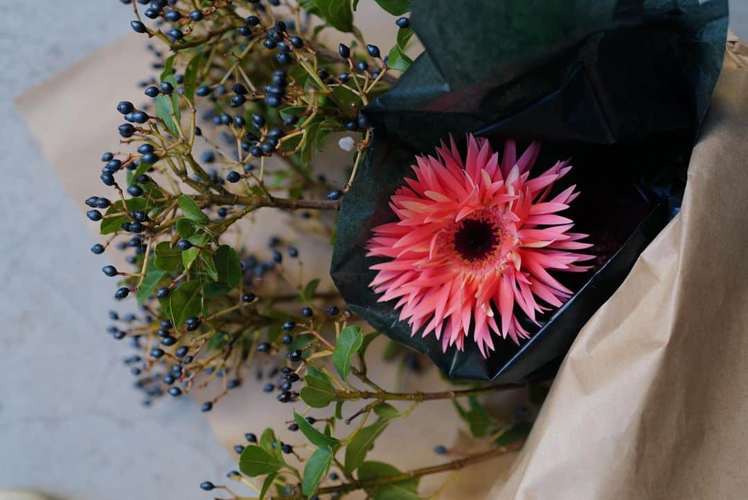 黒沢祐子のインスタグラム：「大輪のガーベラ　センシーニ 色と咲き方がかわいい とベリーみたいなビバーナムティナス  お花屋さんをのぞくと冬のお花が増えてきてわくわくする  #life #お花のある暮らし」