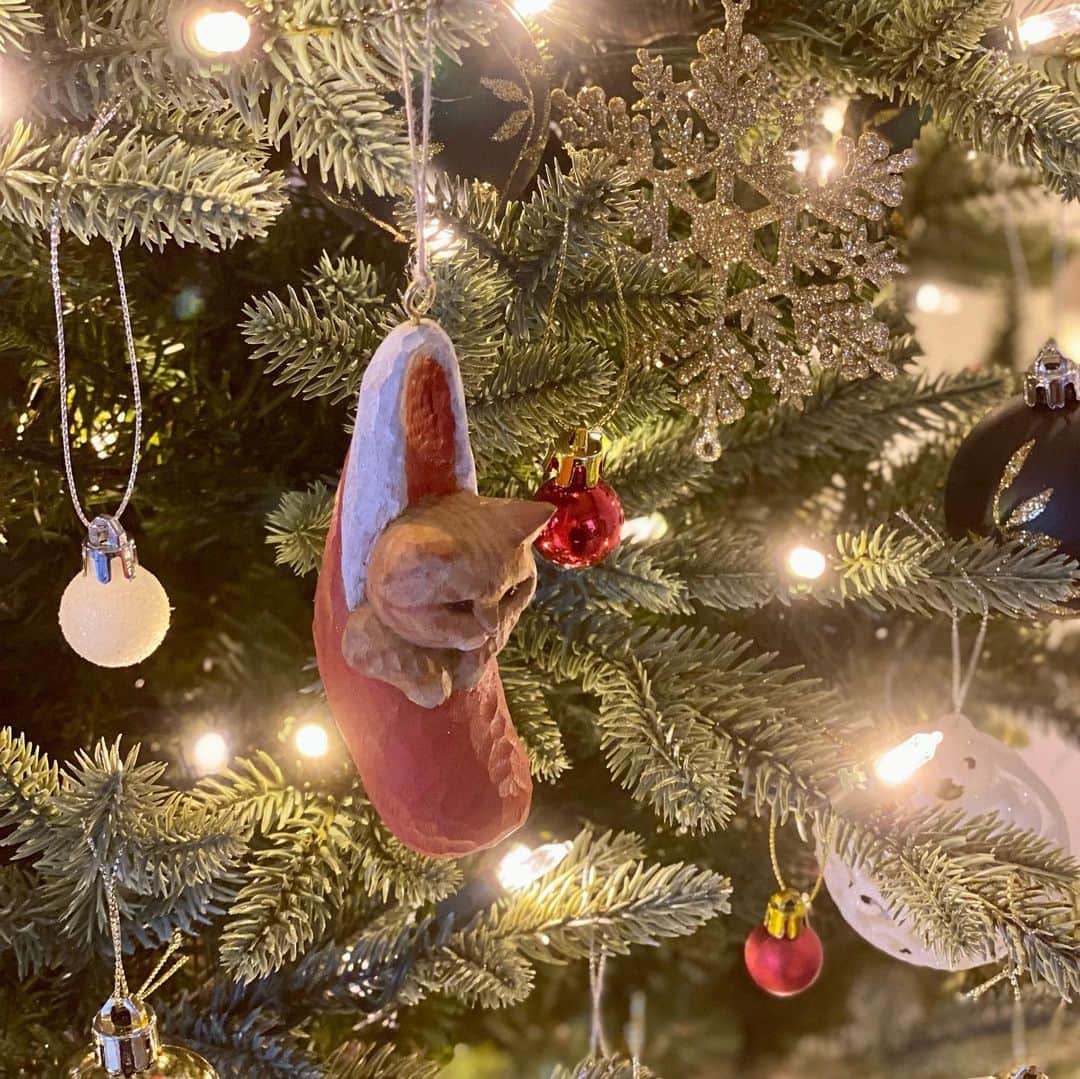 花房さくらのインスタグラム：「うちのクリスマスツリーには靴下に入った猫も紛れています🎄  There is a cat in a sock on the Christmas tree.🎄  #クリスマスツリー #xmastree  #woodcarving #cat #sculpture #hanafusasakura」