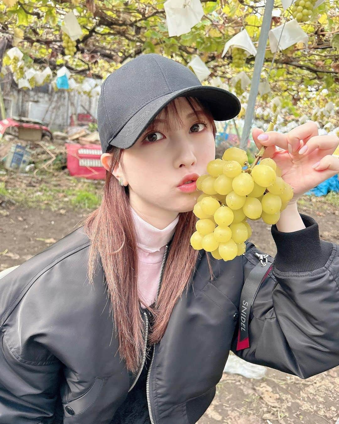 永野芹佳のインスタグラム：「🍇🍷✨  #ぶどう #ぶどう狩り #シャインマスカット #山梨」