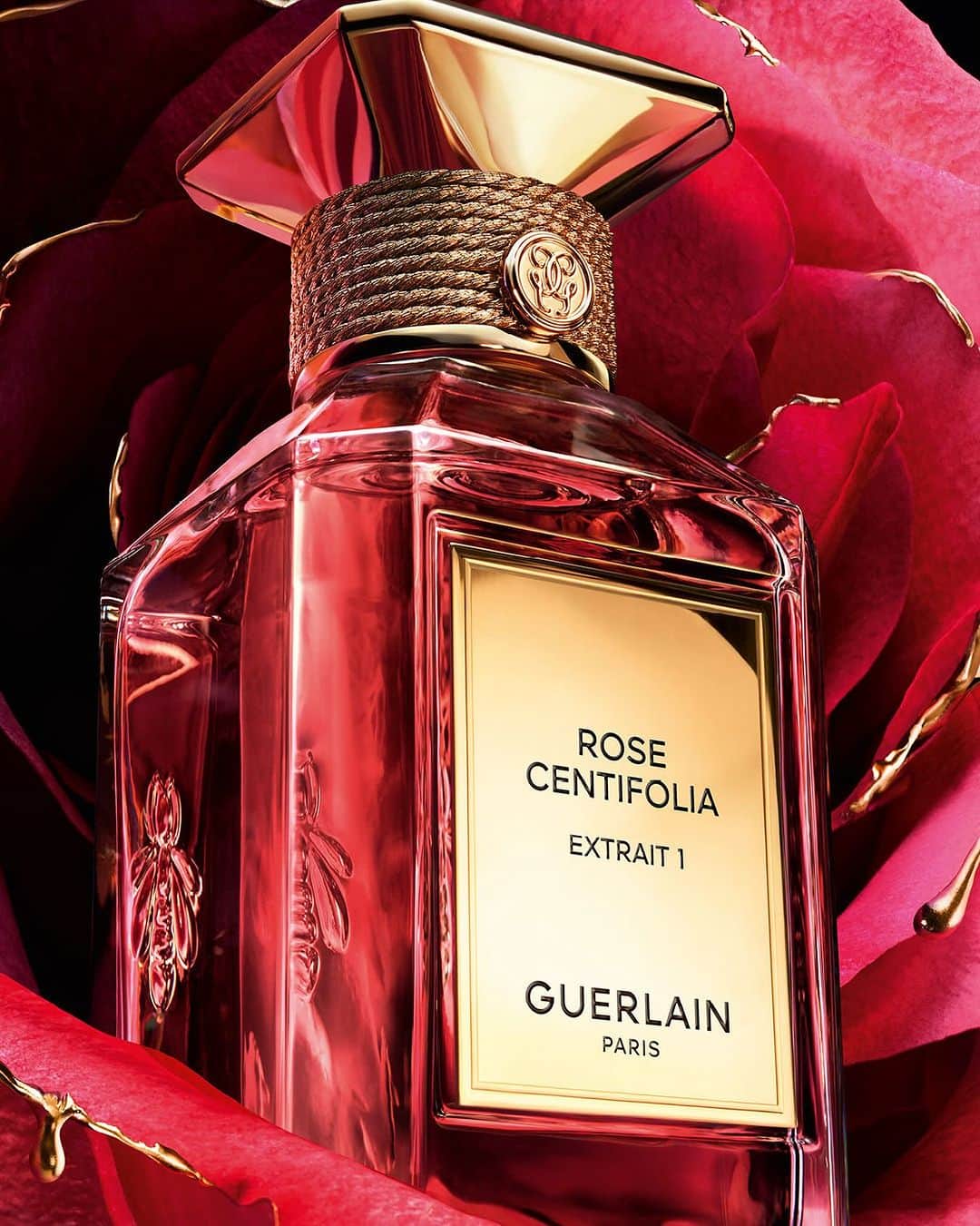 のインスタグラム：「Discover Rose Centifolia Extrait 1, the signature Guerlain rose in its ultimate concentration. Honeyed notes of damask rose essence, Centifolia rose absolute and Bulgarian rose water are caressed with plumes of frankincense and patchouli, in a fragrance trail blooming with mystery and depth. The intensity of the Queen of Flowers, amplified like never before. — #GuerlainPerfume #LesExtraits #LArtetLaMatière #Rose #SavoirFaire #Guerlinade #PerfumerSince1828 #Fragrance」