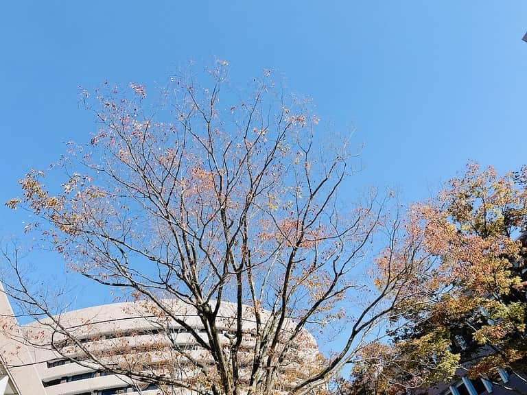 西川進のインスタグラム