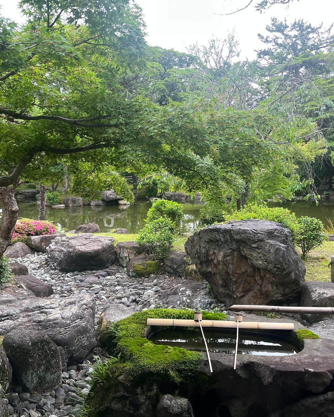 NakamuraEmiさんのインスタグラム写真 - (NakamuraEmiInstagram)「🏮  ／ 三重県桑名市 #魅力みつけびと Nakamura就任 Nakamura目線  桑名市 なとりっぷ❻🪭(ことりっぷ番外編) ＼  ことりっぷさんと回った桑名市。Nakamura目線でオフショットと共に桑名の素敵なところUPしまーす  𓇬  𓇬  𓇬  𓇬  𓇬  𓇬  𓇬  𓇬  𓇬  𓇬 𓇬  𓇬  𓇬  𓇬  𓇬  𓇬  𓇬  𓇬   『 六華苑 』 の中編  @rokkaen   𓇬  𓇬  𓇬  𓇬  𓇬  𓇬  𓇬  𓇬  𓇬  𓇬 𓇬  𓇬  𓇬  𓇬  𓇬  𓇬  𓇬  𓇬   ❸では六華苑の外観を紹介しましたが、和館と洋館の中の様子をお届けします。  が、興奮して洋館の写真全然撮ってなかった。。めちゃくちゃ可愛かったです。物件好きのお方はぜひ立ち寄ってみたください。  和館も洋館もちゃんとスタッフさんが案内してくださり超楽しかった。戸田さんありがとうございましたー！和館は隅々まで美しくて。やはりいいものですね。 110年、ここまで綺麗に残すことが素晴らしい。  ここでライブをしたい。  .........................................  ことりっぷさんにて「桑名×NakamuraEmi」の素敵な写真と記事もみれます〜！ https://co-trip.jp/article/619293/   #なとりっぷ　#三重県桑名市 #魅力みつけびと #三重県 #桑名 #六華苑  #ことりっぷ#NakamuraEmi #物件好き」11月13日 22時33分 - nou.emi