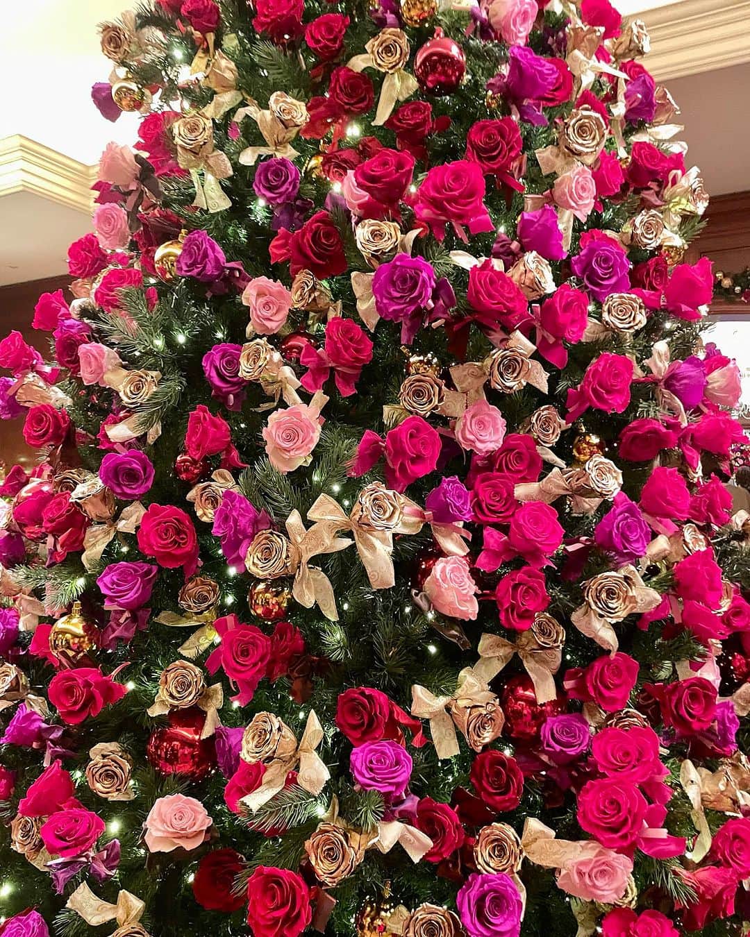 小川薫さんのインスタグラム写真 - (小川薫Instagram)「【クリスマスツリー】 . 先日リッツカールトン大阪へ伺った際、 クリスマスツリーの点灯式もタイミングよく立ち会うことができました🎄ホットチョコレートが振る舞われました。 コロナ禍にできなかった点灯式は4年ぶりだそう。立派なツリーには1000個以上の赤や紫のプリザーブドのバラがデコレーションされています。 あったかい気持ちになれました。 ほかにもたくさん写真を撮ってきたのでまたご紹介します💌 . #クリスマスツリー　#christmastree  #リッツカールトン大阪　#ritzcarltonosaka  #小川薫　#料理研究家　#テーブルコーディネーター　#salondeclover #サロンドクローバー」11月13日 22時51分 - salondeclover