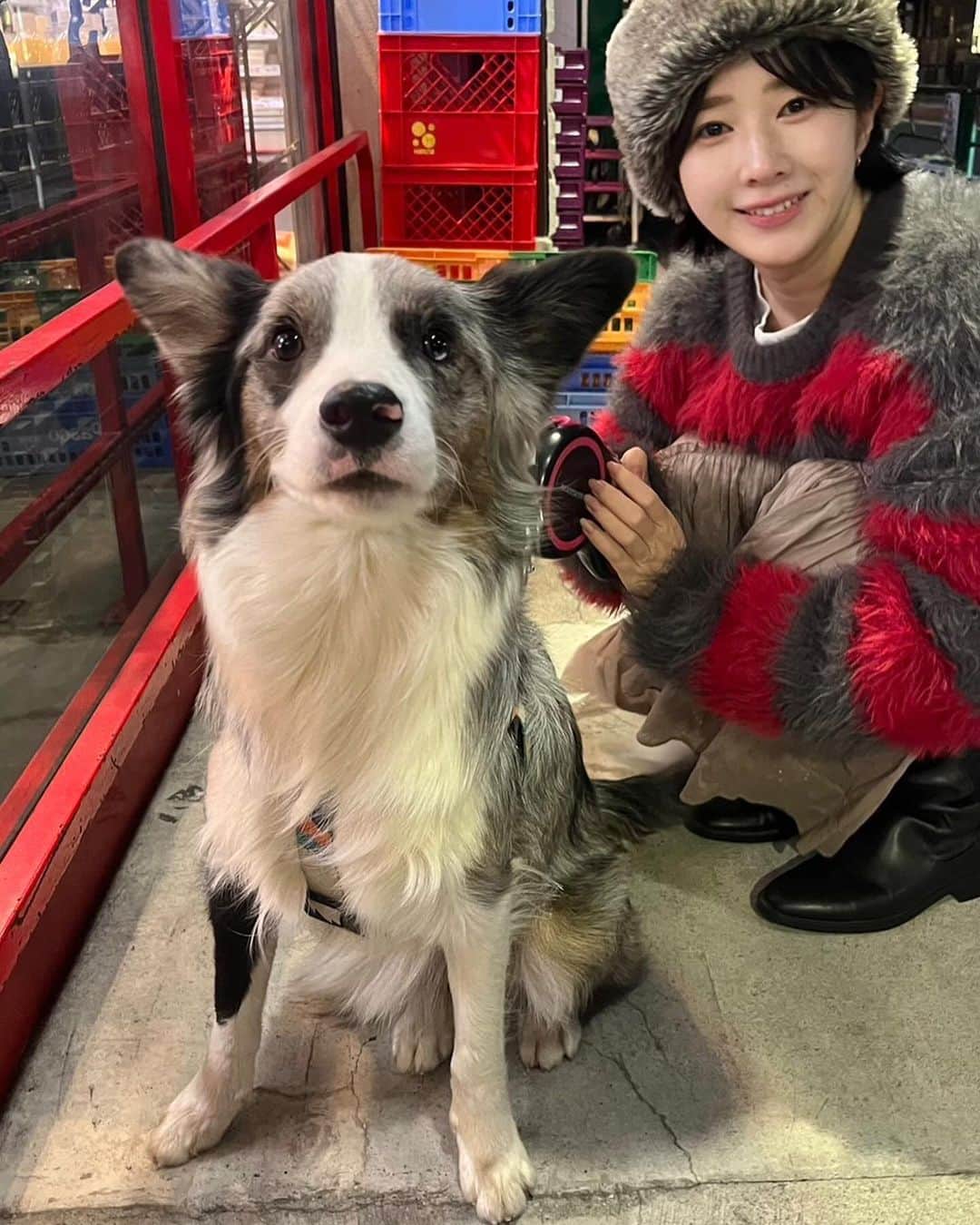 りえっくすのインスタグラム：「チャッピーと私と、時々わたぴ  @orewatashi  @chappie_bordercollie」