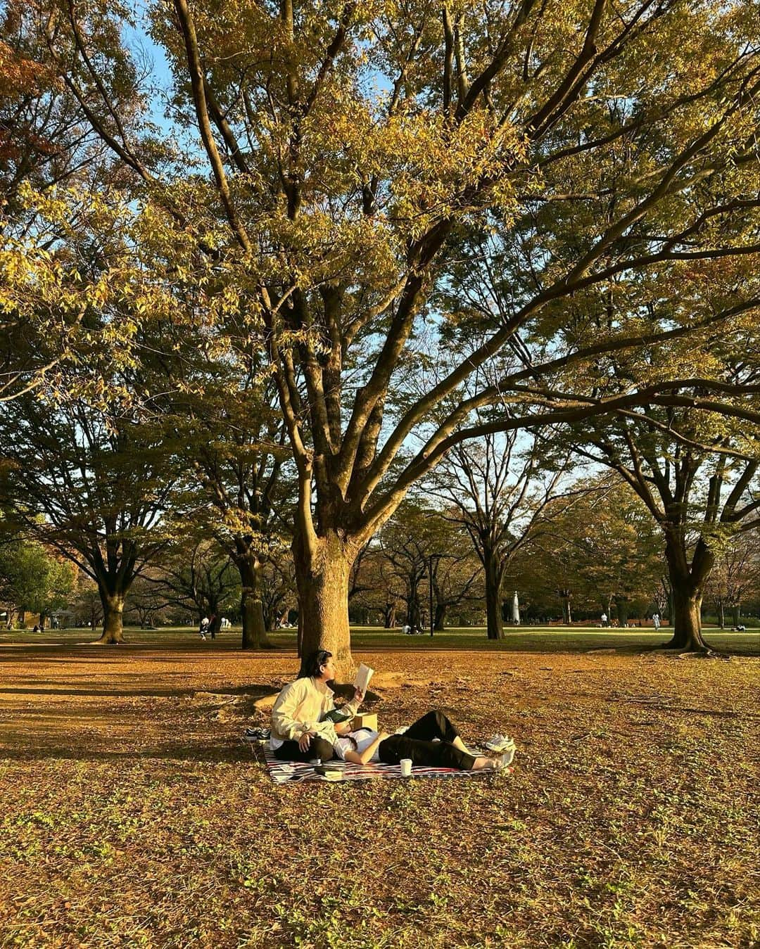 GYEON SEOさんのインスタグラム写真 - (GYEON SEOInstagram)「_* peaceful moment  . . เอาจริงๆไปนั่งที่สวนสาธารณะ คือชอบที่สุดในทริปนี้เลย  ออกจากบ้าน แวะไปซื้อของกิน ซื้อกาแฟ ซื้อขนมปัง หาที่ๆชอบ แล้วปูเสื่อตั้งแต่บ่าย2 เปิดเพลงจากมือถือ นั่งดูผู้คน ดูน้องหมาน่ารักๆ คุยกับที่รัก ระหว่าง คุยก็ จีบกาแฟ กินขนมอร่อยๆ และ อยู่กับตัวเองสงบๆ สบายใจ ☺️🫶🏻  @hunz_iph  @hunzgmemo」11月13日 23時21分 - queengyeon