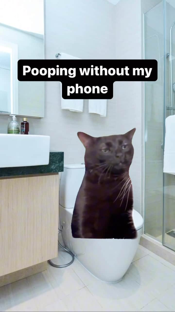 Aww Clubのインスタグラム：「What did we do before cell phones  @imachu63  #meowed #cutecat #cat #blackcat #meme #toilet #myphone」