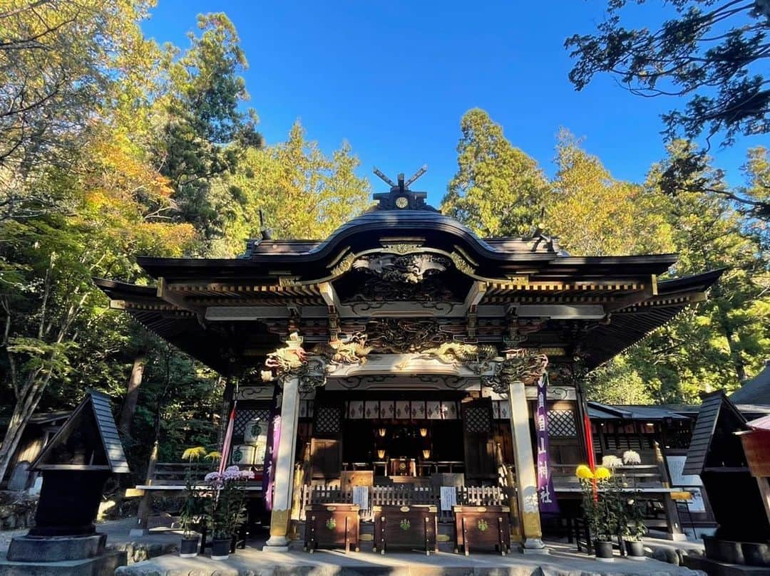 依田司さんのインスタグラム写真 - (依田司Instagram)「11月14日(火) 埼玉県長瀞にある「宝登山神社」の紅葉をご紹介。 1900年もの間続く格式高い神社です。 何処もそうですが、今年は暖かさの影響で色の進みが遅く、例年この時期終わっているイチョウの黄葉も残っています。 また「宝登山」の「宝」にちなみ、打ち出の小づちおみくじなるものも…めったにおみくじを引かない私、なんと「大吉」でした。 散策して小腹が空いたら名物「黄金だんご」や「ミニ豚丼」がおすすめです。 ライトアップは26(日)まで。  #宝登山神社 #resoundclothing #リサウンドクロージング #依田さん #依田司 #お天気検定 #テレビ朝日 #グッドモーニング #サタデーステーション #気象予報士 #お天気キャスター #japan #japantrip #japantravel #unknownjapan #japanAdventure #japanlife #lifeinjapan #instagramjapan #instajapan #療癒 #ilovejapan #weather #weathercaster #weatherforecast」11月14日 9時43分 - tsukasa_yoda