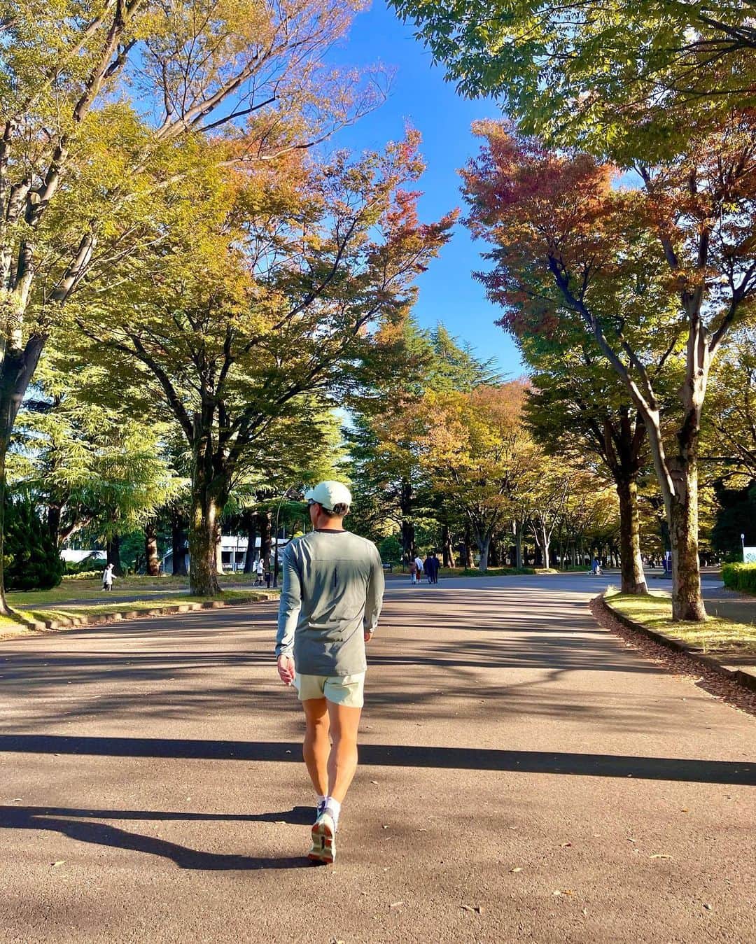前園真聖さんのインスタグラム写真 - (前園真聖Instagram)「まだ短パン👍 #ウォーキング #歩く」11月14日 10時05分 - maezono_masakiyo