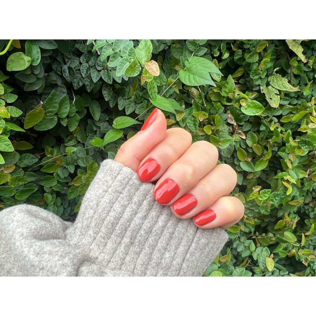 秋本祐希のインスタグラム：「new nails☺︎ 熟した柿みたいな色 ほんとは テラコッタ というお洒落な色だそう。 @salonbdaikanyama にて☺︎ #newnails #jelnail #秋色 #salonbdaikanyama」