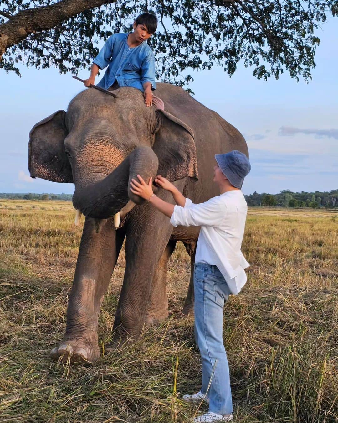 アイス・サランユーさんのインスタグラム写真 - (アイス・サランユーInstagram)「🌞Good Morning Sunrin City  สุรินทร์ถิ่นช้างใหญ่🐘 📷 By N'Nuii #ไอซ์ศรัณยู #icesarunyu  #อสทออนทีวี  #comingsoon」11月14日 10時07分 - icesarunyu