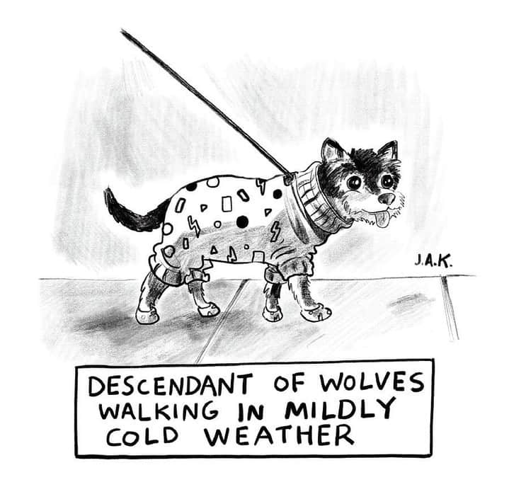 のインスタグラム：「A cartoon by @j.a.k._, from 2022. #NewYorkerCartoons」
