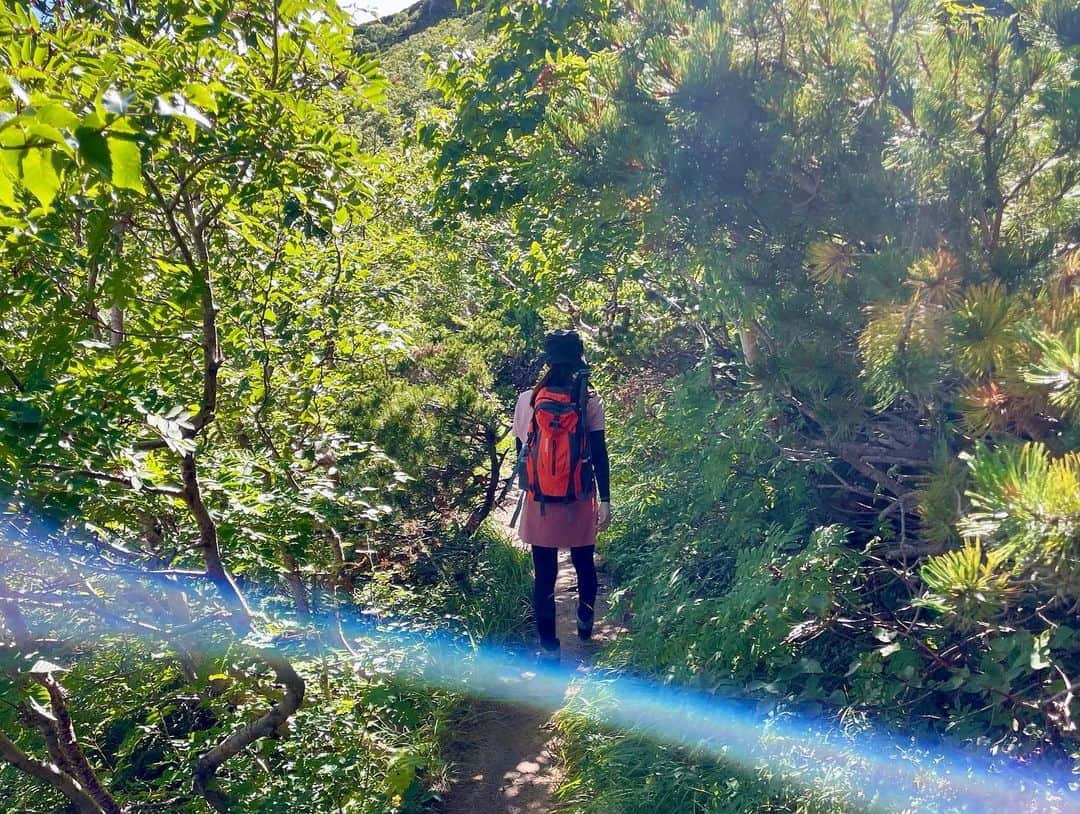 綾瀬麗奈さんのインスタグラム写真 - (綾瀬麗奈Instagram)「. 登山記録♡  8月末  日本百名山 木曽駒ヶ岳⛰️ 駒ヶ岳ロープウェイHPに掲載されている 中級者コースを参考にしました🥾✨  まずは菅の台バスセンターへ！ ここから一般車は入れないので、バスに乗り換え。 バス待ちの列に並ぶこと…45分…… 金曜なのに…？夏休みだったから？😇 やっと乗れたバスに30分程揺られ、しらび平駅に到着。 ロープウェイに乗り換えて、 スタート地点の日本最高所駅 千畳敷　着！！  10:30 登山スタート 〜中岳山頂 〜木曽駒ヶ岳山頂(経過時間　1時間45分程) お昼ご飯休憩🍚 せっかく山頂についたのに、眺めは絶望的🥲🥲 山頂どころか、ここまでガスってて何も見えず。 中級者コース進んでも見えないだろうし、 やめる？戻る？？でもここまできたのに、、 なんて会話をご飯がてら1時間程しまして☁️ (初級者コースはここで折り返して戻ります) せっかくなのでやはり進むことに！  以下中級者コース⛰️ 13:15頃　木曽駒ヶ岳山頂　出発 進み始めて30分程で だんだん視界が良くなってきて🥹 気がついたらすっっっごく綺麗な景色が目の前に😭🤍 進んでよかったって思った瞬間でした😭🤍 〜濃ヶ池分岐 〜濃ヶ池 〜駒飼ノ池  〜宝剣山荘あたりで初級者コースと合流  16:35 出発地点の千畳敷　着🕊️✨  休憩時間　1時間50分 歩行時間　4時間15分  今回の反省点はロープウェイの最終時間😇、 濃ヶ池あたりでこのままだと最終に乗れない事に気がついて… そこからは最大限出せる速さで進んで (しかもここから想定外の急なのぼり🤢) 間に合わなかったら山小屋泊になるので、 それだけは嫌すぎてもう必死で…… 若干メンタルやられつつ← とにかく前向いて、とにかく足を前に出して (2〜3歩進んだら止まっちゃうくらいしんどかった🤢) 諦めなかったらなんとかなるもので 予定よりもかなりはやい下山に成功し、 ロープウェイの最終にも無事に乗れました🥰💐 本当によかったー、、、  よく考えたら、最初のバス待ち45分が一番の想定外だ🤣🤣 45分あったら余裕で間に合ったのに😇  皆さんもお気をつけください…  特にお気に入りの1枚はまた次の投稿で♡♡  .  大量に浴びた紫外線のケアは、  ヘア💇‍♀️ @precious_beauty_meieki さん @kotoeh さん♡  お肌💆‍♀️ @menard.nagoya さん @ebiharamiki さん♡ @menard.kayo さん♡  本当にありがとうございます🥲💕  .  #木曽駒ヶ岳　#駒ヶ岳　#中央アルプス　#日本百名山　#千畳敷カール　#千畳敷　#宝剣岳　#中岳　#濃ヶ池　#馬の背　#長野登山　#登山　#登山女子　#山ガール　#登山記録　#登山日記　#山日記　#山女子　#百名山　#登山初心者」11月14日 10時54分 - ayasereina