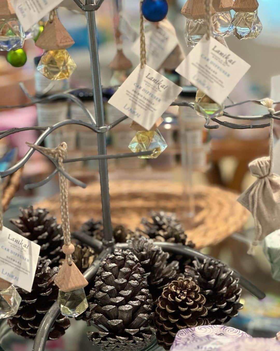 Lanikai Bath and Bodyさんのインスタグラム写真 - (Lanikai Bath and BodyInstagram)「True family business! Years ago before our grandson Benjamin was born, our daughter in law Lauren came up with the concept for our annual Christmas decorations in our Kailua store. It’s become a tradition to put our large ornament decor up every year. This year Ben came along to help; giving us ideas of where to place items throughout the store. He did great. #christmasishere #melekalikimaka #lanikaibathandbody」11月14日 1時59分 - lanikaibathandbody
