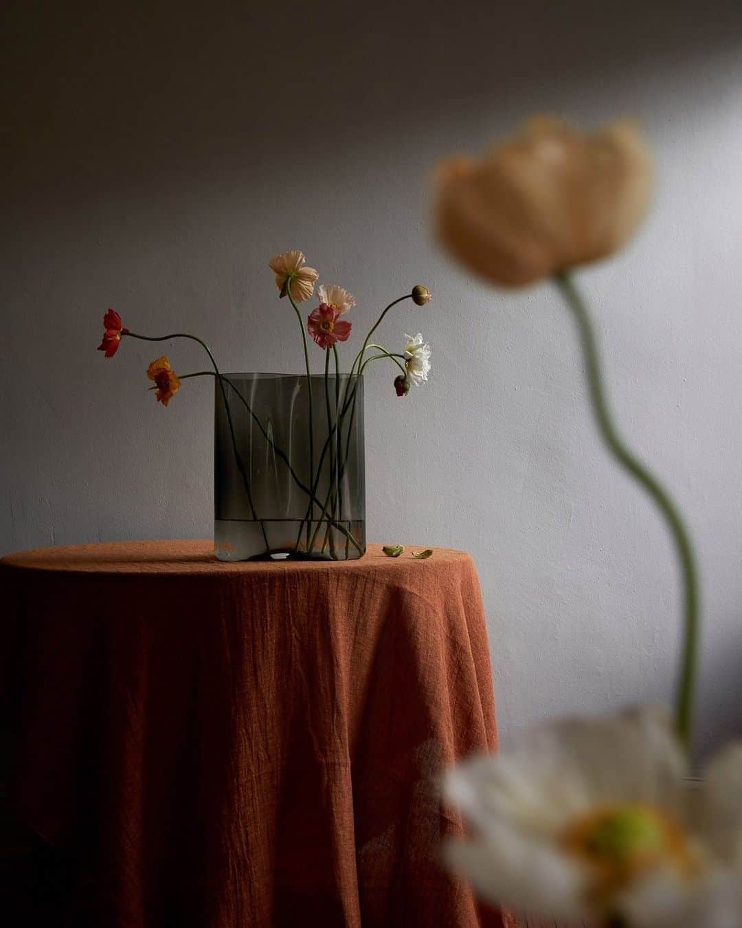 Design Milkのインスタグラム：「From fun, embroidered cocktail napkins to cool + stylish phone accessories, Senior Contributing Editor @itsafterfive shares 10 gift ideas that are sure to elevate everyday moments! 🎁   Everything on her list has something in common -- they're either things that have an inherent beauty to them or they make the mundane moments seem noteworthy. ✨ \\\ Check it all out at the link in bio! 🔗」