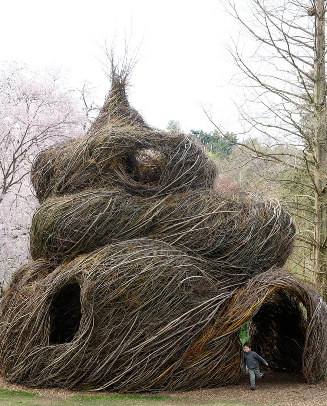 Earth Picsさんのインスタグラム写真 - (Earth PicsInstagram)「Patrick Dougherty, a visionary artist blending nature and architecture through his unique 'stickwork.' Drawing inspiration from his North Carolina upbringing, he transforms living trees into magnificent, sculptural structures.  Dougherty began his artistic journey in 1982, crafting over 200 stunning creations that defy easy categorization. From tree groves to expansive pavilions, his work is a captivating blend of sculpture and nature.」11月14日 2時10分 - earthpix