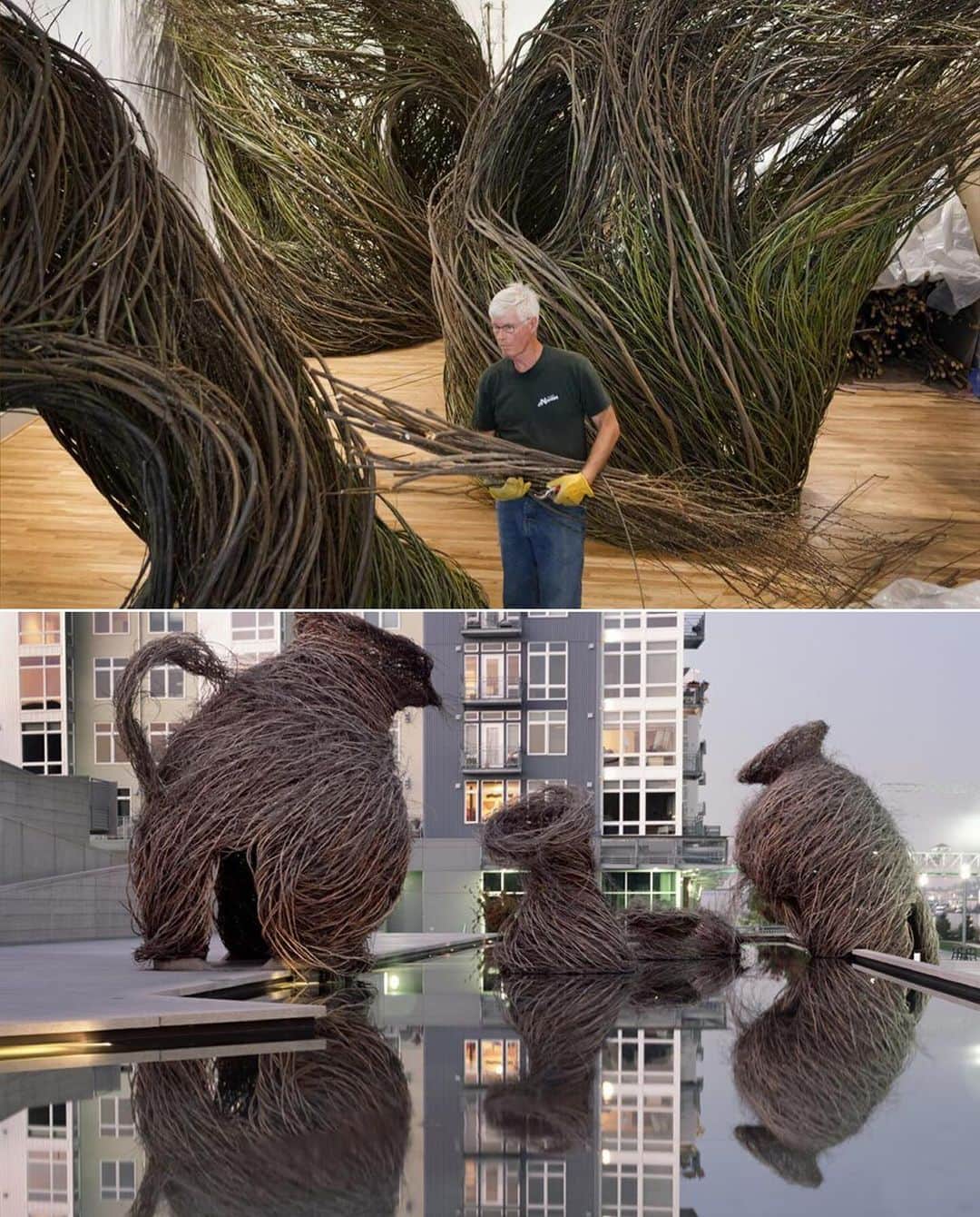Earth Picsさんのインスタグラム写真 - (Earth PicsInstagram)「Patrick Dougherty, a visionary artist blending nature and architecture through his unique 'stickwork.' Drawing inspiration from his North Carolina upbringing, he transforms living trees into magnificent, sculptural structures.  Dougherty began his artistic journey in 1982, crafting over 200 stunning creations that defy easy categorization. From tree groves to expansive pavilions, his work is a captivating blend of sculpture and nature.」11月14日 2時10分 - earthpix