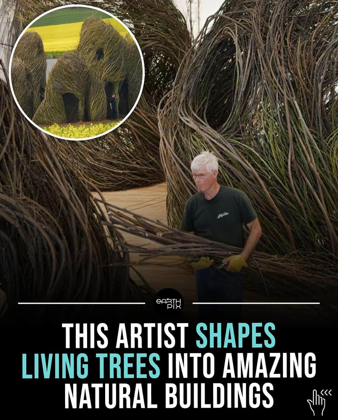 のインスタグラム：「Patrick Dougherty, a visionary artist blending nature and architecture through his unique 'stickwork.' Drawing inspiration from his North Carolina upbringing, he transforms living trees into magnificent, sculptural structures.  Dougherty began his artistic journey in 1982, crafting over 200 stunning creations that defy easy categorization. From tree groves to expansive pavilions, his work is a captivating blend of sculpture and nature.」