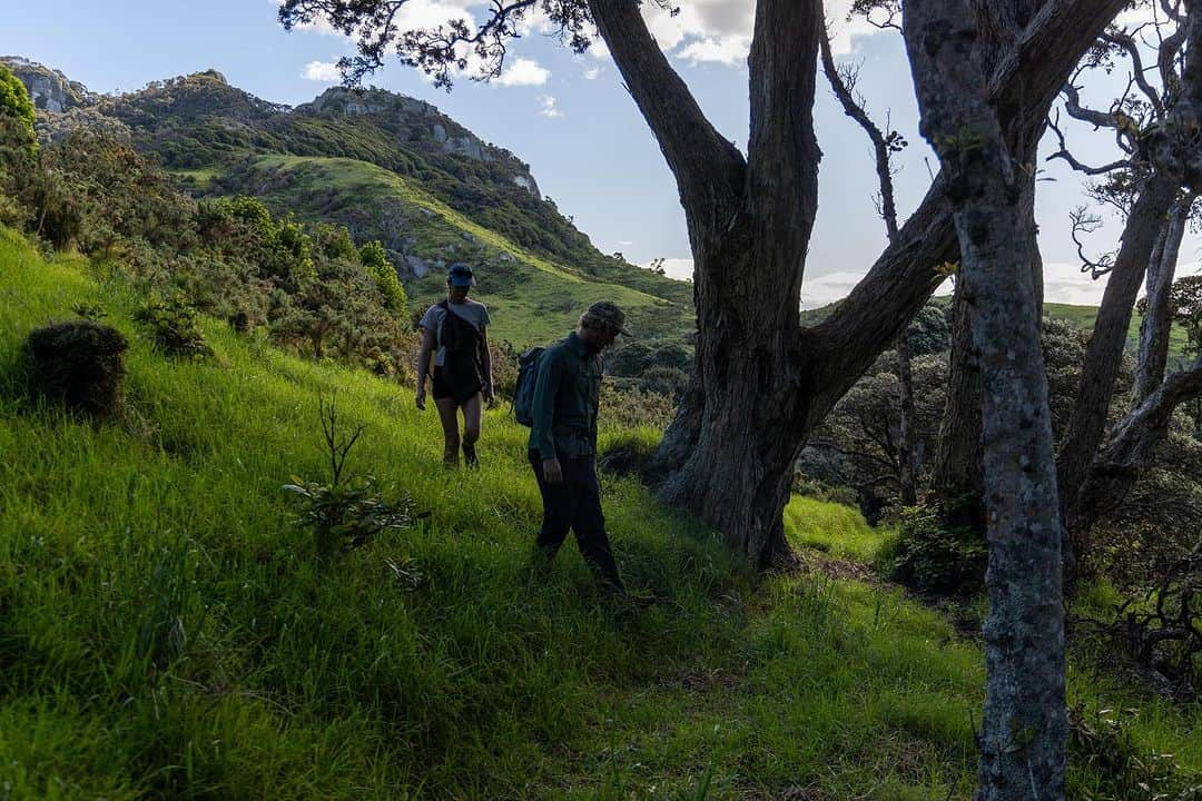 ジョン・ジョン・フローレンスさんのインスタグラム写真 - (ジョン・ジョン・フローレンスInstagram)「Love that I’m able to work with partners that share the same passion for health and wellness, plus support all the hobbies and things I do. I regularly use red light therapy, having it built into the new Theragun is next level. I also find myself using the heat often. It does everything I need and helps out so much with recovery on trips like this. We’ve been surfing, sailing, and hiking pretty much everyday. Thank you @therabody」11月14日 2時29分 - john_john_florence