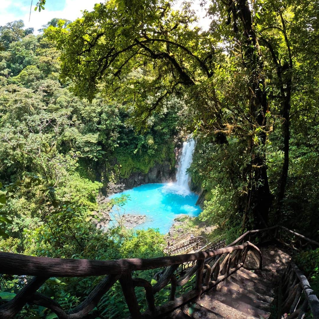 goproのインスタグラム：「Photo of the Day: Take a mental vacation 🌴 @amber_marie12 earned a $250 #GoProAwards payday with this snap to kick-start her next vacation fund 💰  #GoPro #GoProTravel #CostaRica #Jungle #Oasis #Landscape #LandscapePhotography #TravelPhotography #Travel」