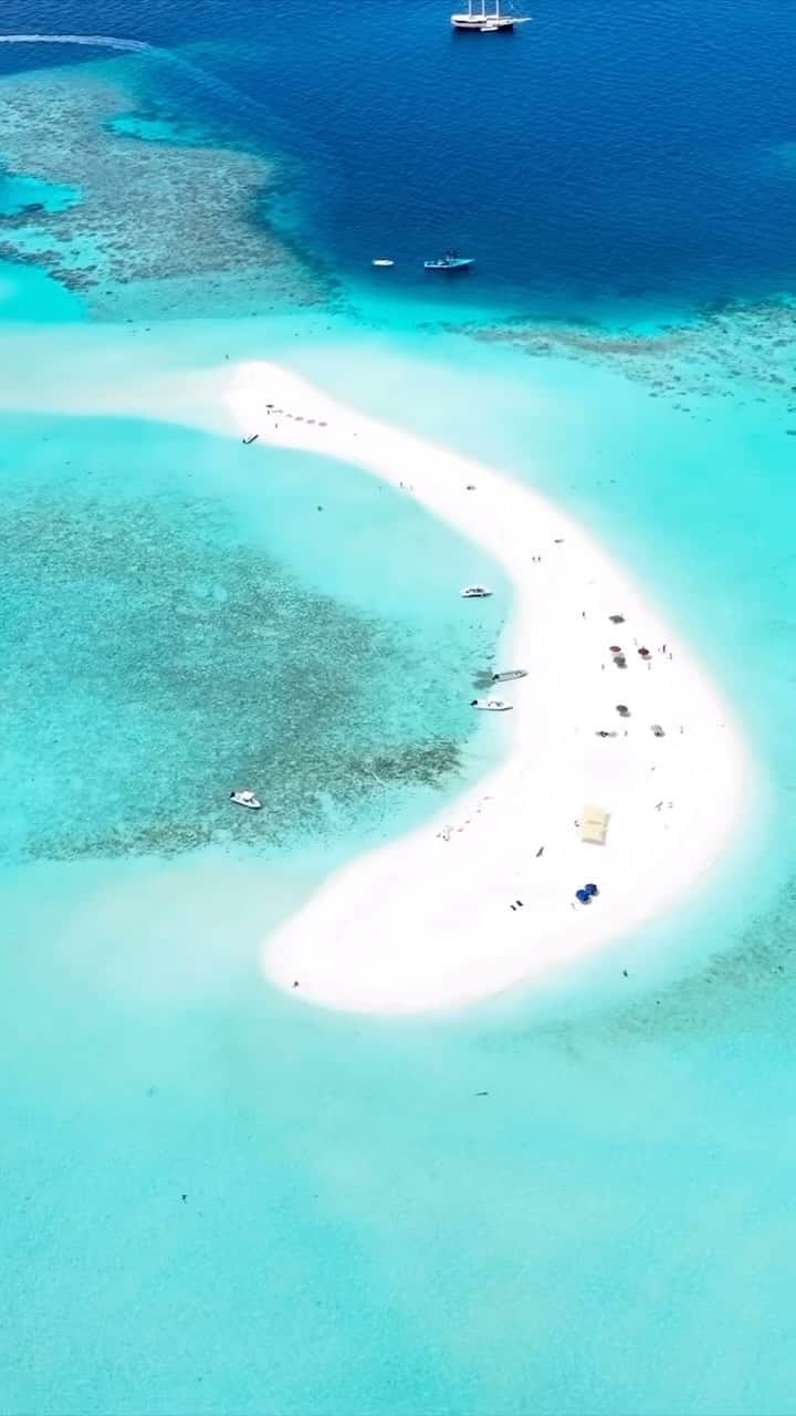 Maldivesのインスタグラム：「Sandbanks in the Maldives  For holiday bookings and inquiries  Contact us: WhatsApp +960 760 5656 @nichegetaways   Video: @rizam.maldives   #maldivesislands ##travelinspiration #islandvacations #beach #sandbar #sandbank #beachvacation #lagoon #paradisefound #travel #maldivesvacation #island #beachholiday #omaldives #bluelagoon #bestplacestogo #destination #vacation」