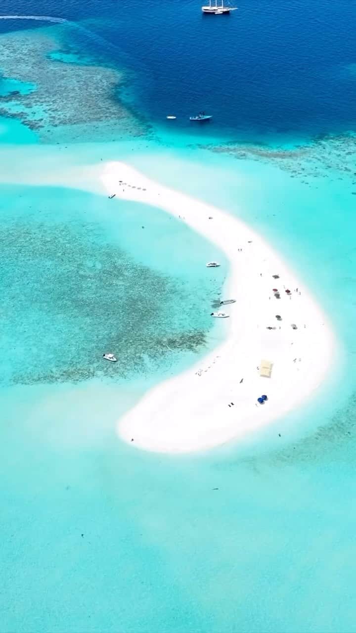 Maldivesのインスタグラム：「Sandbanks in the Maldives  For holiday bookings and inquiries  Contact us: WhatsApp +960 760 5656 @nichegetaways   Video: @rizam.maldives   #maldivesislands ##travelinspiration #islandvacations #beach #sandbar #sandbank #beachvacation #lagoon #paradisefound #travel #maldivesvacation #island #beachholiday #omaldives #bluelagoon #bestplacestogo #destination #vacation」