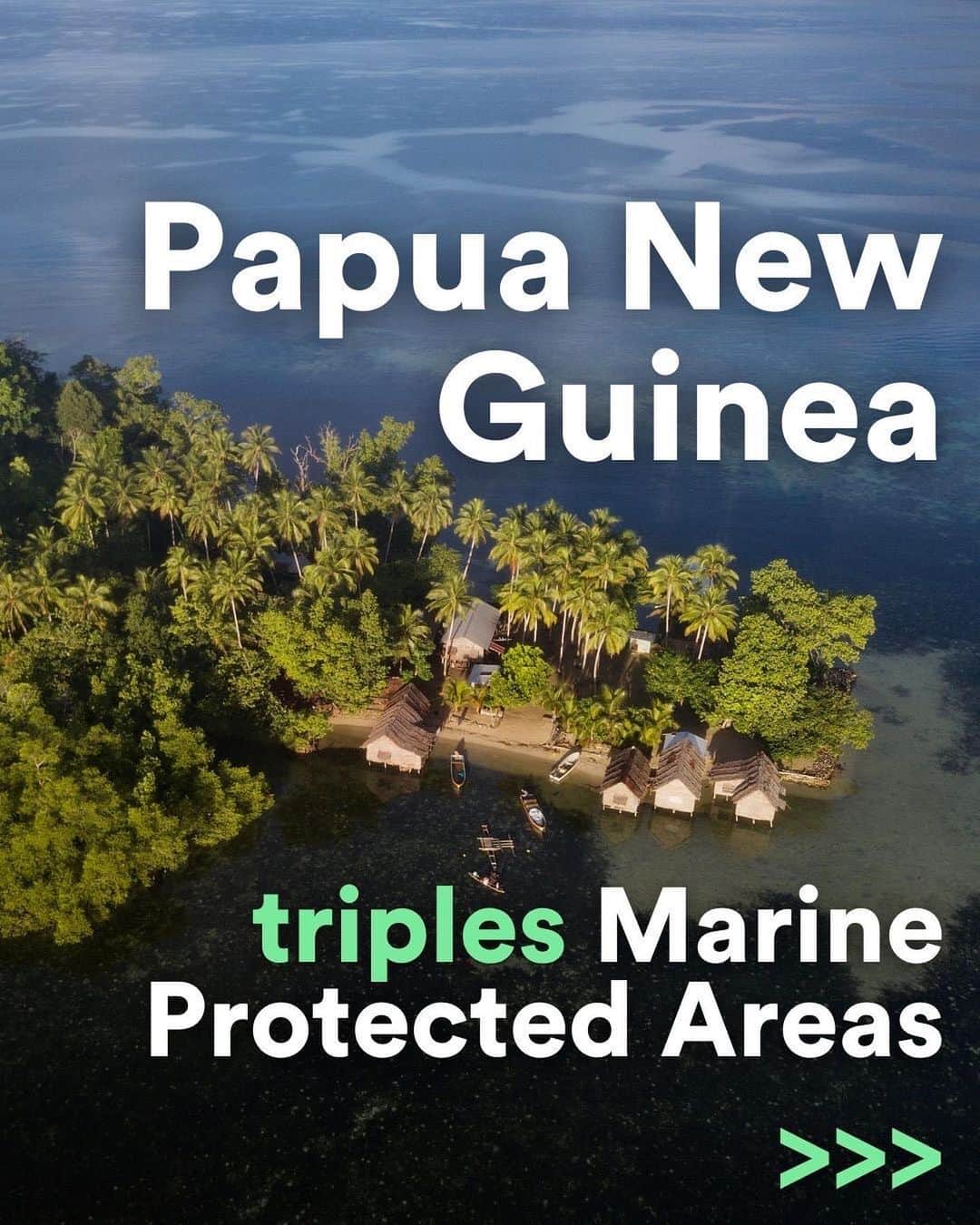 レオナルド・ディカプリオのインスタグラム：「Today, two new Marine Protected Areas (MPAs) in Lovongai and Murat have officially tripled the protected waters of Papua New Guinea - spanning over 6,000 square miles.  Protecting these ecosystems is vital to mitigating the effects of climate change and biodiversity loss. Coastal seas contain 70% of all ocean biodiversity and all of the world’s mangroves and seagrass beds. This project is the culmination of nearly 7 years of work by @thewcs Papua New Guinea team, who led consultations with upwards of 9,000 community members and countless delegates from the local and national government level as well as local NGOs for the creation of these MPAs.  @rewild was proud to support these efforts and is thrilled to celebrate this milestone, ensuring Indigenous peoples lead the protection of their coastal seas.  Photo credit: Elodie Van Lierde - WCS」