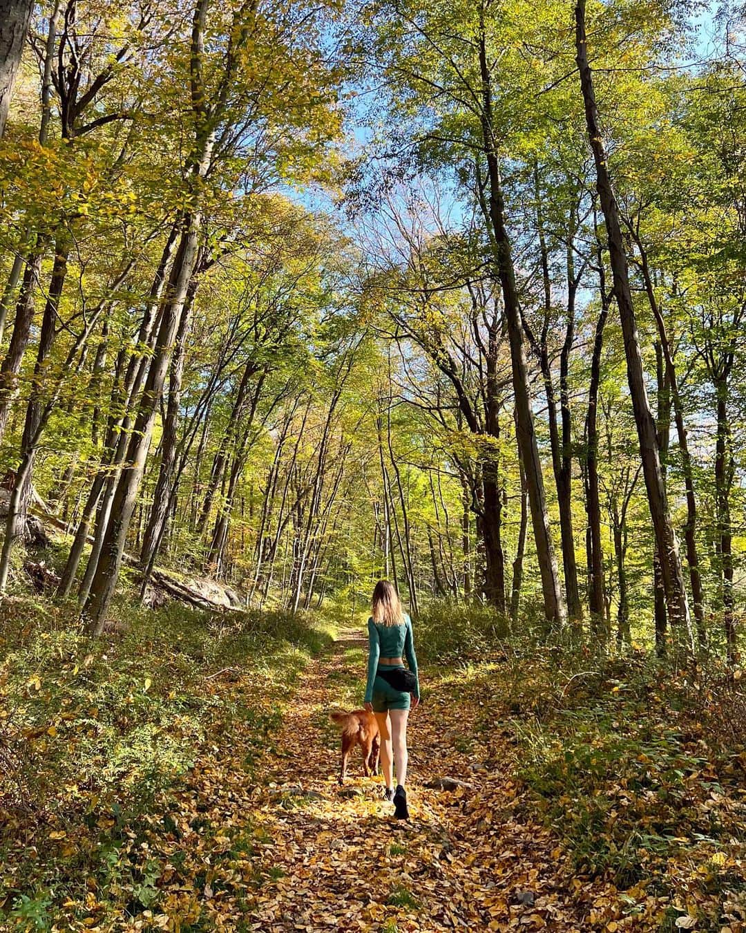 サマンサ・グラドヴィルさんのインスタグラム写真 - (サマンサ・グラドヴィルInstagram)「Gone hiking ✌️ One of my favorite things about living in the state of New York is getting out of the big city and spending time upstate with Mother Nature. It’s almost mind boggling to realize that just a short trip away from all the hustle and bustle of Manhattan lies densely forested parks, beautiful hiking trails and mountain ranges! I’m incredibly grateful to have this escape where my heart and soul feel so much at home 💚🍃 #naturalnewyork #hikeny #goneexploring」11月14日 3時48分 - samgradoville