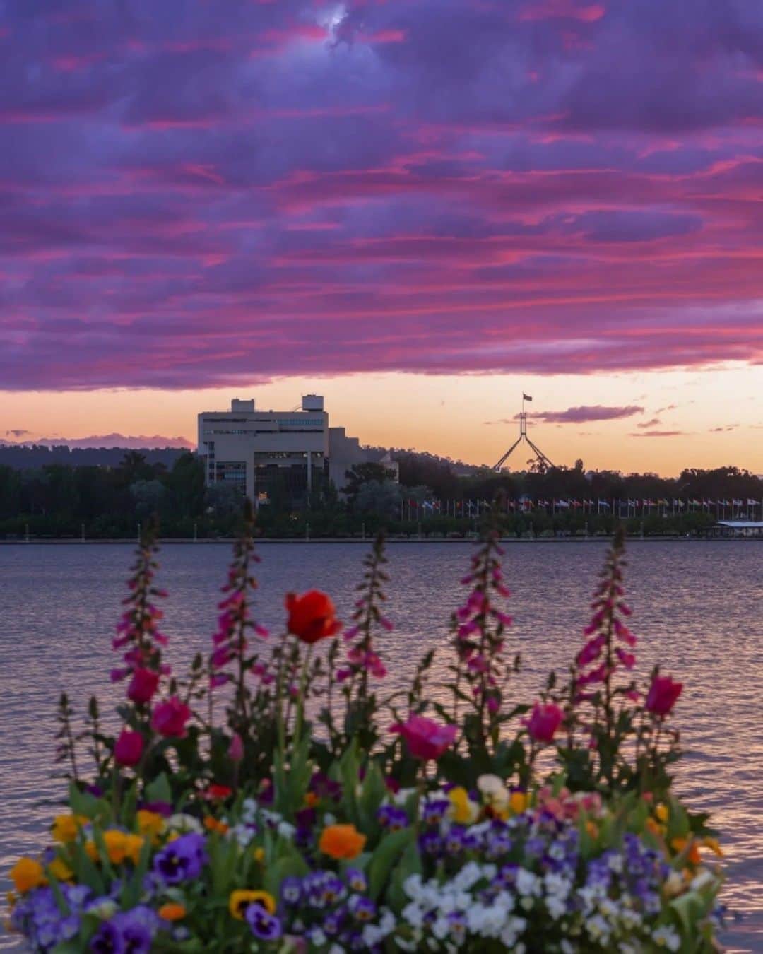 Australiaのインスタグラム：「We love a colour-coordinated outfit and @visitcanberra sure looks great in pink 💕 You can find scenes like this on Ngunnawal Country at the glorious @nationalarboretumcanberra, along with a sprinkling of outdoor artworks, manicured gardens and photo-worthy picnic spots ⭐ Once the sun has set, head to #Acton for dinner at @rebelrebelcanberra - known for good vibes and deliciously fresh produce.   (📸: @wanderlust73)  #SeeAustralia #ComeAndSayGday #VisitCanberra #WeAreCBR  ID: A colourful array of flowers in the foreground with Lake Burley Griffin and the Australian Parliament House beyond. The sky above is filled with a blanket of pink and purple clouds.」