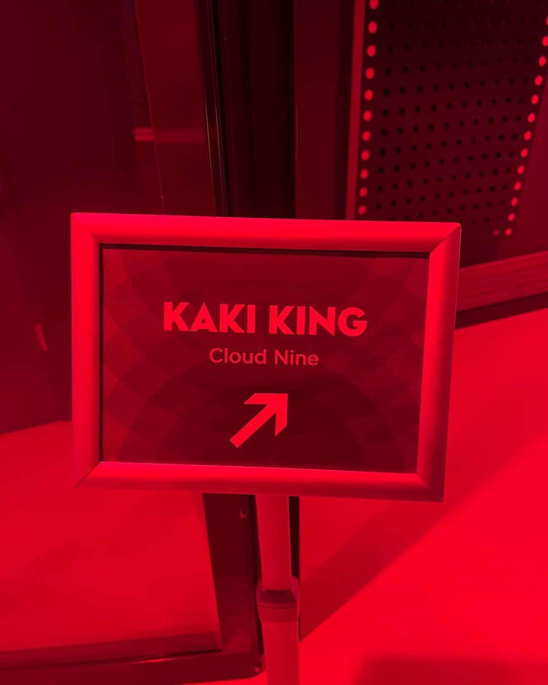 カーキ・キングのインスタグラム：「Last gig in NL see you in a few Utrecht!」