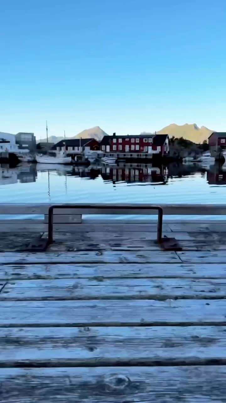 クリス・バーカードのインスタグラム：「These were the best days of summer. I swam more in the ocean above the Arctic Circle than anywhere else this year. We caught an extremely epic window of weather in Lofoten during a bikepacking trip that gave us all the healthy reminder that riding bikes in remote areas is about a lot more than just pedaling.」