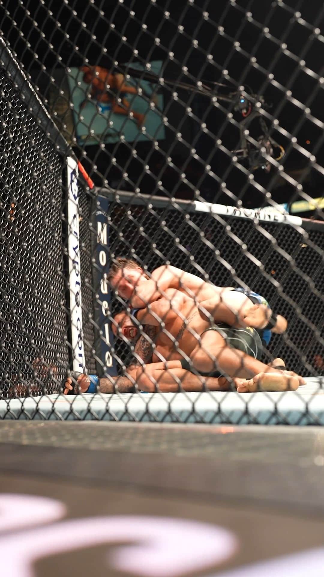 UFCのインスタグラム：「He's riding a 5 fight win streak heading into the fights this weekend! 😮‍💨  @B_Allen185 is back in the Octagon this Saturday for #UFCVegas82」