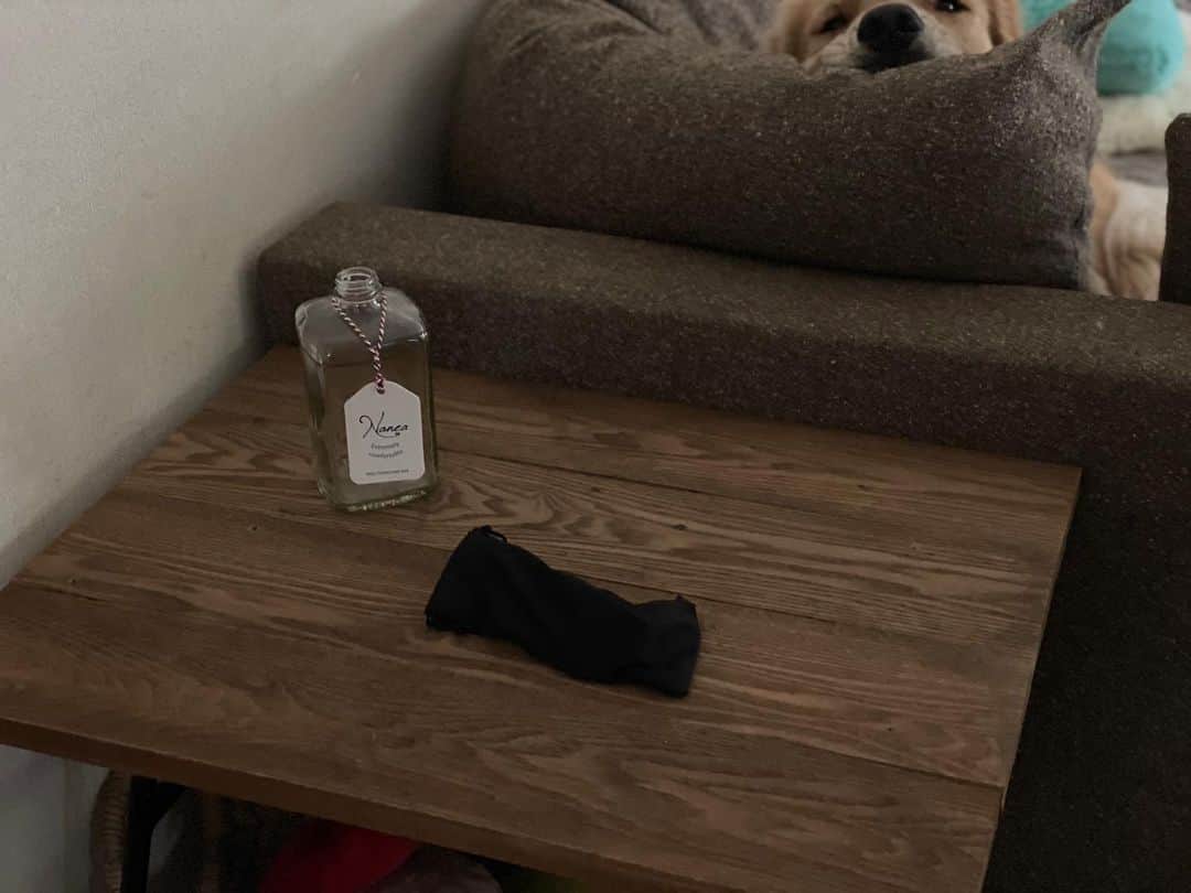 ともさんのインスタグラム写真 - (ともInstagram)「あのテーブルの位置を変えようと近寄ったら可愛いトラップに驚きました🤣 * #そこに居たの！？　#ゴールデンレトリバー　#るこる君2歳　#グンマフクシマ」11月14日 11時09分 - tomowithdog