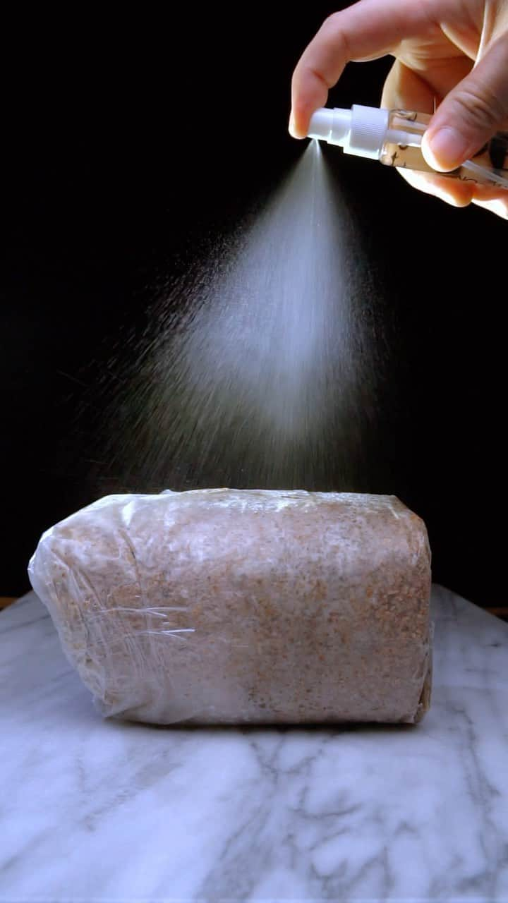 ウィズ・カリファのインスタグラム：「Misting tip: Try not to soak the mushroom itself with water too much. Try to maintain around 85% humidity while growing. A light condensation on the inside of the grow tent is optimal 🍄💦」