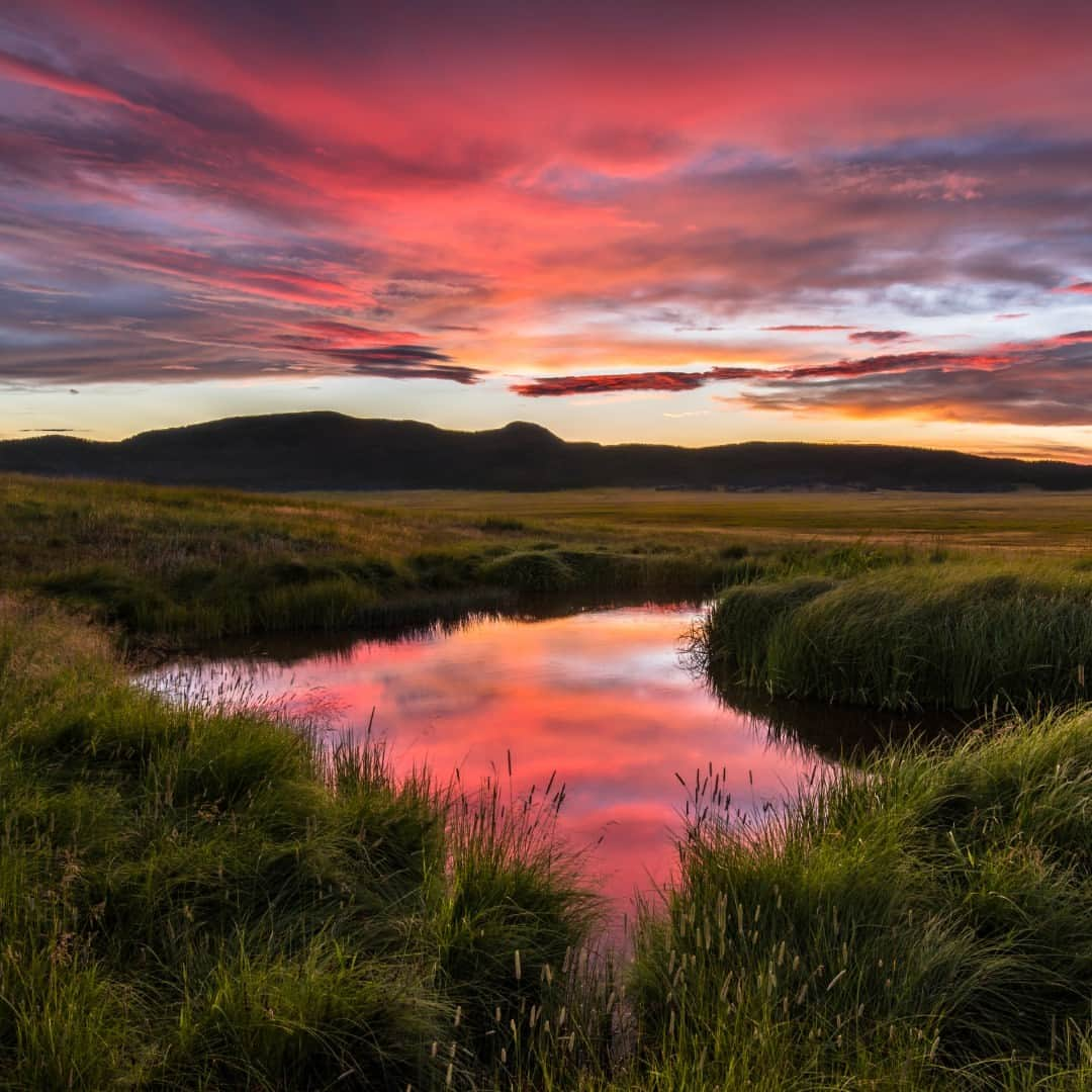 アメリカ内務省のインスタグラム：「About 1.2 million years ago, a spectacular volcanic eruption created a 13-mile-wide circular depression in the earth now known as @vallescaldera in northern New Mexico. The caldera is dormant but not extinct and still displays signs of volcanic life with hot springs and boiling sulphuric acid openings at the surface where volcanic gases and vapors are emitted.   The contrast of large grassland meadows, or valles in Spanish, surrounded by rounded, forest-covered volcanic domes provide the distinctive natural landscape that led to the name of Valles Caldera.   Visitors come to the national preserve to explore the unique geology, view wildlife and learn about the rich human history of the site.   Photo by Andrew Gordon   #publiclands #newmexico #VallesCaldera   Alt Text: A small pond in a grassy field reflects the colorful clouds of a sunset.」