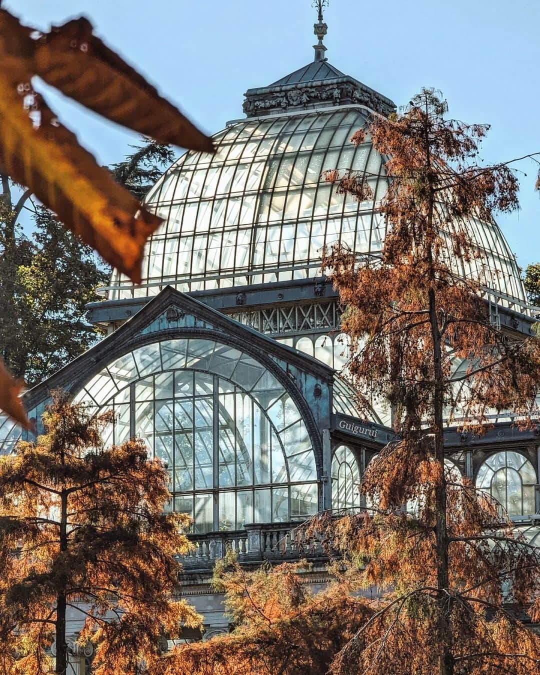 Guido Gutiérrez Ruizさんのインスタグラム写真 - (Guido Gutiérrez RuizInstagram)「El Retiro ya está de Gala 🍂 The #Retiro is al dressed up. #Guigurui #Madrid」11月14日 7時15分 - guigurui