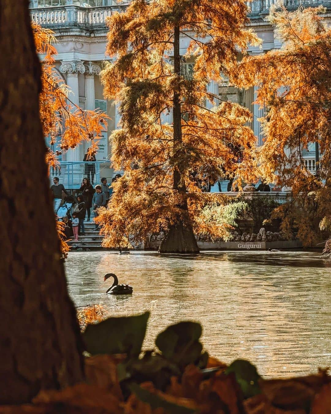 Guido Gutiérrez Ruizさんのインスタグラム写真 - (Guido Gutiérrez RuizInstagram)「El Retiro ya está de Gala 🍂 The #Retiro is al dressed up. #Guigurui #Madrid」11月14日 7時15分 - guigurui