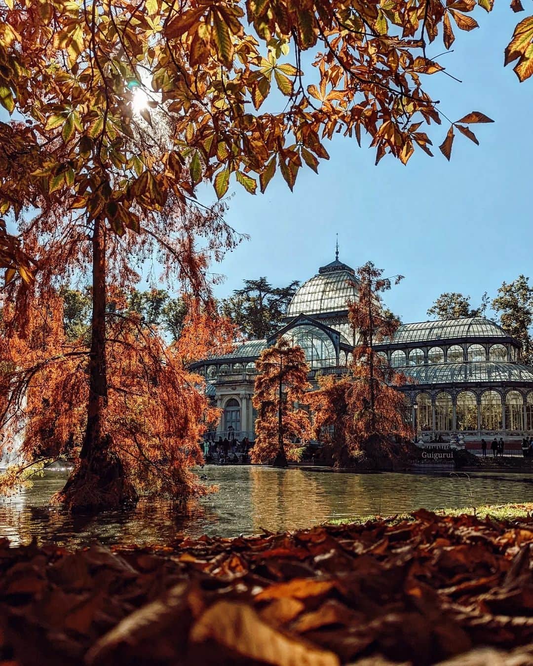 Guido Gutiérrez Ruizのインスタグラム：「El Retiro ya está de Gala 🍂 The #Retiro is al dressed up. #Guigurui #Madrid」