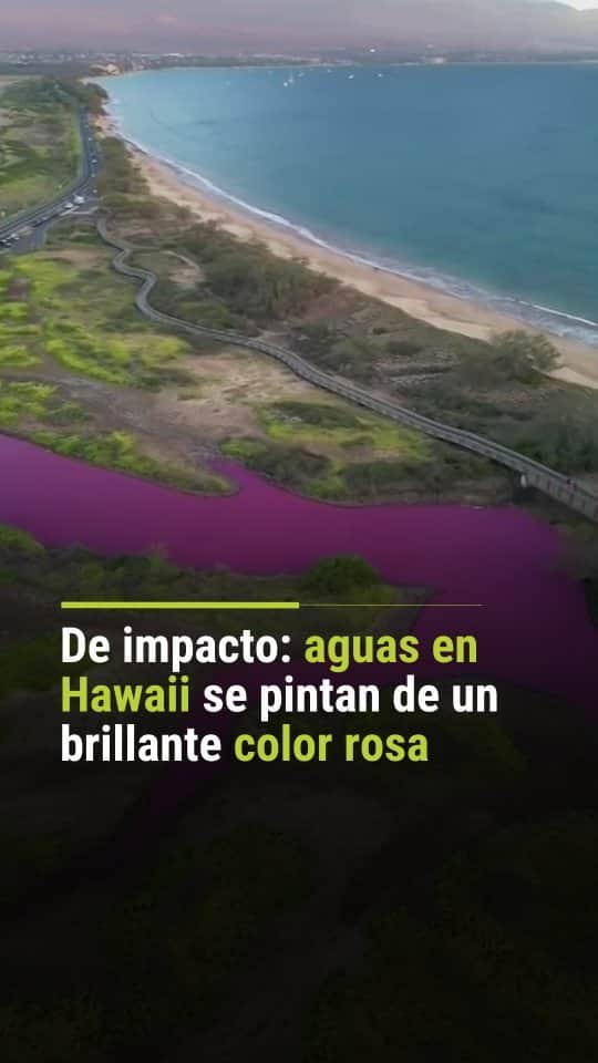 Primer Impactoのインスタグラム：「😲 Las aguas en Hawaii se pintan de un asombroso color rosa que contrasta con el azul del mar.   📺 Más en Primer Impacto a las 5pm/ 4C de lunes a viernes por @univision   #hawaii #sequia #agua #rosa #PrimerImpacto #mar」